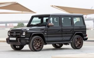 Mercedes-AMG G65 Final Edition 2018 года